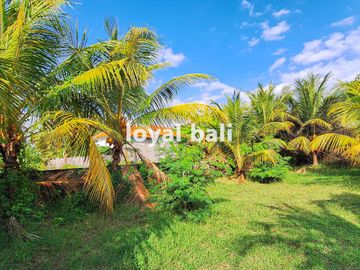 Tanah, Amazing Land with Full Sea View in Lovina, Buleleng, Bali