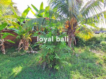 Tanah, Amazing Land with Full Sea View in Lovina, Buleleng, Bali