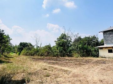 dijual 𝙻𝚊𝚑𝚊𝚗 𝚔𝚎𝚋𝚞𝚗 𝚊𝚙𝚞𝚔𝚊𝚝+𝚐𝚞𝚍𝚊𝚗𝚐 5𝚞𝚗𝚒𝚝
