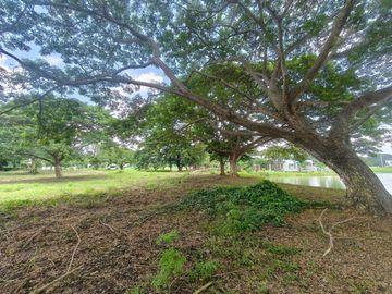 Hacienda Escudero Tiaong Quezon lot for sale 40% dicount