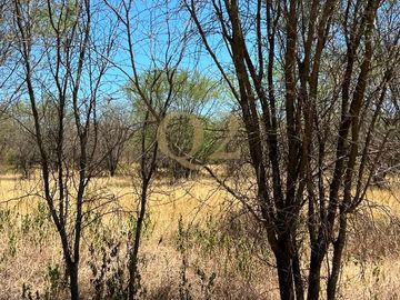 TERRENO EN VENTA – 96 HECTÁREAS | MESA DE LA ANACUA, MONTEMORELOS, N.L.
