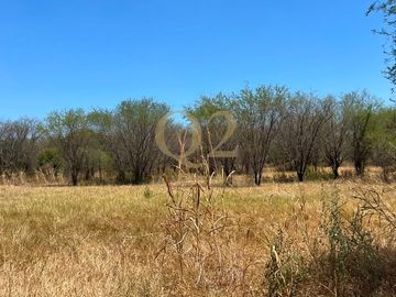 TERRENO EN VENTA – 96 HECTÁREAS | MESA DE LA ANACUA, MONTEMORELOS, N.L.
