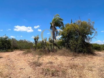 TERRENO EN VENTA – 96 HECTÁREAS | MESA DE LA ANACUA, MONTEMORELOS, N.L.