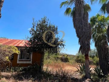 TERRENO EN VENTA – 96 HECTÁREAS | MESA DE LA ANACUA, MONTEMORELOS, N.L.