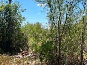 TERRENO EN VENTA – 96 HECTÁREAS | MESA DE LA ANACUA, MONTEMORELOS, N.L.