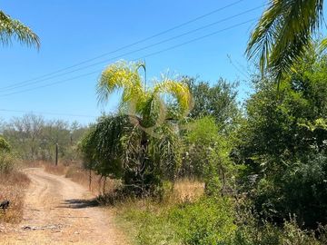 TERRENO EN VENTA – 96 HECTÁREAS | MESA DE LA ANACUA, MONTEMORELOS, N.L.
