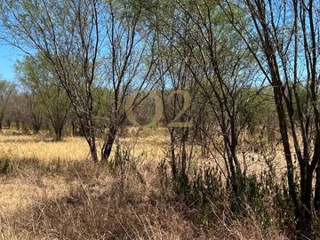 TERRENO EN VENTA – 96 HECTÁREAS | MESA DE LA ANACUA, MONTEMORELOS, N.L.