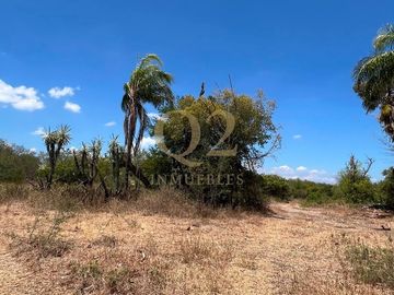 TERRENO EN VENTA – 96 HECTÁREAS | MESA DE LA ANACUA, MONTEMORELOS, N.L.
