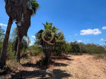 TERRENO EN VENTA – 96 HECTÁREAS | MESA DE LA ANACUA, MONTEMORELOS, N.L.