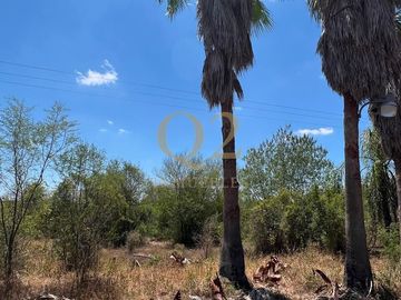 TERRENO EN VENTA – 96 HECTÁREAS | MESA DE LA ANACUA, MONTEMORELOS, N.L.