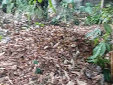 KAVLING MURAH SEPI TENANG DI LENTENG AGUNG