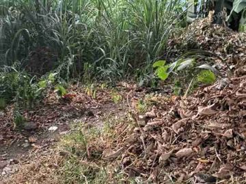 KAVLING MURAH SEPI TENANG DI LENTENG AGUNG