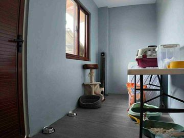 291 SQM