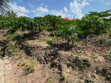 DIJUAL TANAH PERUMAHAN SIAP BANGUN PADANG LUWIH DALUNG KUTA UTARA BALI