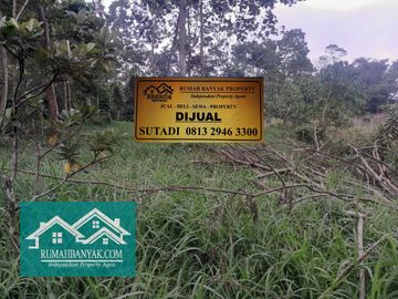 Jual Tanah Pekarangan Murah Di Cangkringan, 500 ribuan – Suasana Pegunungan