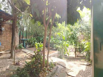 Remato Hermosa casa campirana rústica con bello jardín maduro
