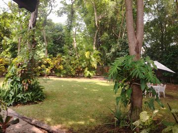 Remato Hermosa casa campirana rústica con bello jardín maduro