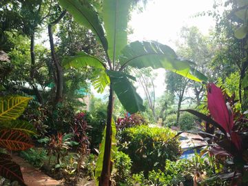 Remato Hermosa casa campirana rústica con bello jardín maduro