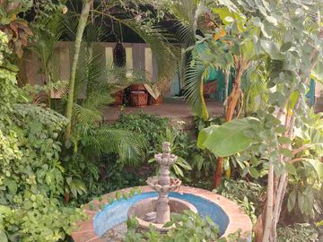 Remato Hermosa casa campirana rústica con bello jardín maduro