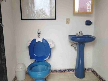 Remato Hermosa casa campirana rústica con bello jardín maduro