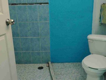Remato Hermosa casa campirana rústica con bello jardín maduro