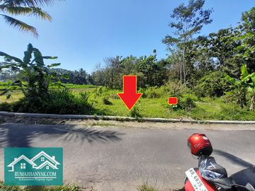 Jual Tanah Murah & Strategis Di Cangkringan; Suasana Asri, Sejuk & Tenang Cocok Untuk Villa & Usaha Kuliner