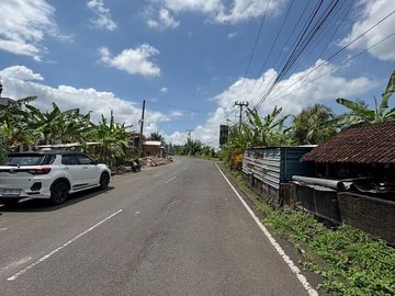 Tanah Strategis 6,31 Are Dijual di Kedungu - Cocok untuk Investasi