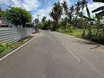 Tanah Strategis 6,31 Are Dijual di Kedungu - Cocok untuk Investasi