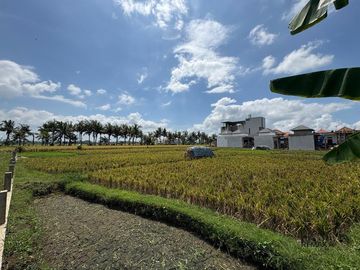 Tanah Strategis 6,31 Are Dijual di Kedungu - Cocok untuk Investasi