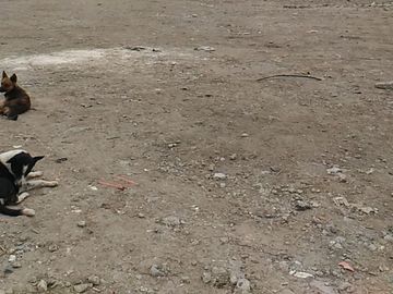 Lot For Sale near Island Cove Binakayan CAVITEX Toll gate and exit Kawit Cavite
