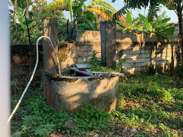 Tanah Lelang Harga di Bawah Pasaran Dekat Gunung Kemukus