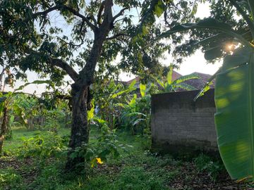 Tanah Pekarangan Strategis Dekat Wisata Boyolayar