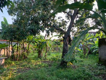 Tanah Lelang Harga di Bawah Pasaran Dekat Gunung Kemukus