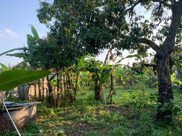 Tanah Pekarangan Strategis Dekat Wisata Boyolayar