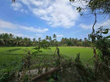 Dijual tanah murah view sawah akses jalan hotmik di tabanan bali