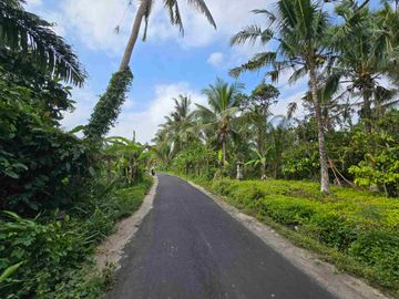 Dijual tanah murah view sawah akses jalan hotmik di tabanan bali