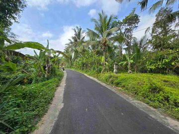 Dijual tanah murah view sawah akses jalan hotmik di tabanan bali