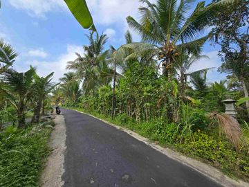 Dijual tanah murah view sawah akses jalan hotmik di tabanan bali