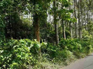 DIJUAL CEPAT TANAH MENARIK DAERAH TONDANO, HARGA MURAH