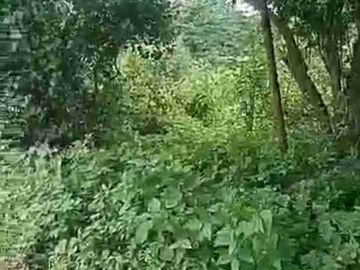 Rush Sale LA 2,310sqm Greenfield Heights Sampaloc 2 Aguinaldo highway Dasmariñas City Cavite
