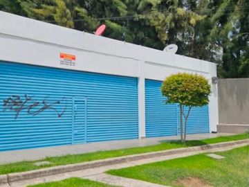 LOCAL COMERCIAL EN 