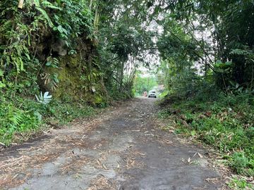 Tanah Sleman SHMP, Area Villa Pakem Bisa Angsuran Flat Tanpa Bunga