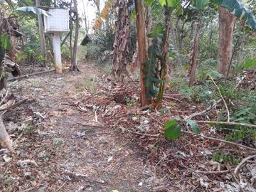 Dijual Tanah seluas 1 Ha, Siap Bangun. Lokasi Strategis di Pinggir Jalan Raya Wibawa Mukti 2 Jatisari Jatiasih Bekasi.