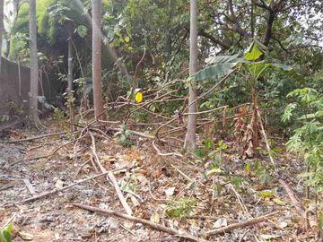 Dijual Tanah seluas 1 Ha, Siap Bangun. Lokasi Strategis di Pinggir Jalan Raya Wibawa Mukti 2 Jatisari Jatiasih Bekasi.