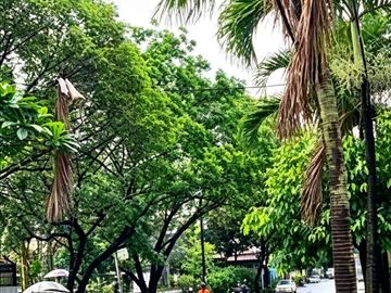 RUMAH LUAS & STRATEGIS DALAM KOMPLEK ELIT GRIYA BINTARA INDAH (MEPET PONDOK KOPI)