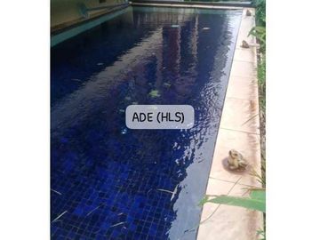 Dijual Cepat Rumah Ada Kolam Renang (Pik Jakarta Utara)