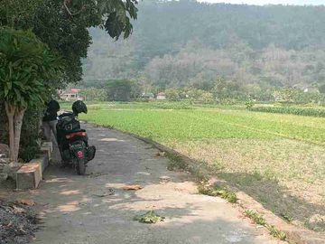 DIJUAL TANAH KAVLING VIEW ISTIMEWA  PRAMBANAN SENGON