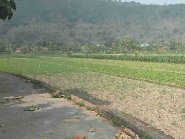DIJUAL TANAH KAVLING VIEW ISTIMEWA  PRAMBANAN SENGON