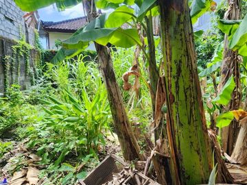 DIJUAL TANAH SHM 286 M² LOKASI STRATEGIS di MERTASARI – SIDAKARYA, DENPASAR SELATAN