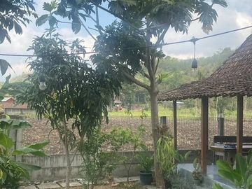 Rumah Luas Asri dengan Pendopo di Guwosari Pajangan Bantul